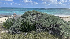 Beach - Private cruise from Saint-Martin to Saint Barthélémy (Collectivité de Saint-Martin)