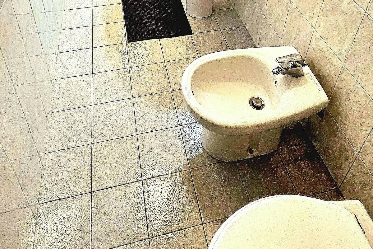 A bathroom with a shower, two sinks, and a bidet.