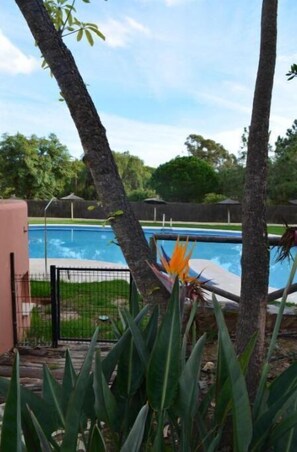 Pool - Augustha Resort (AN)