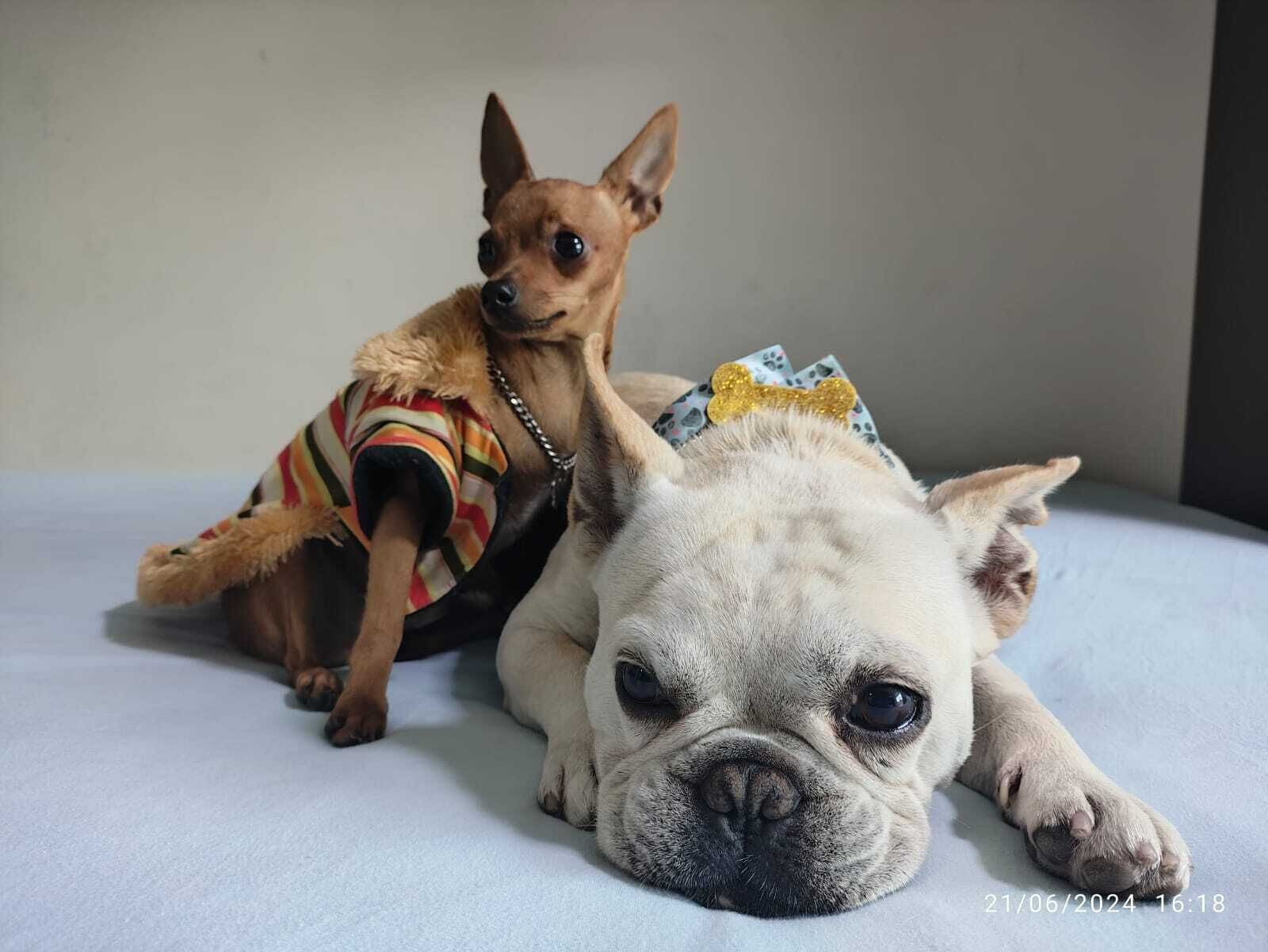 Photo - Pousada Mirante do César