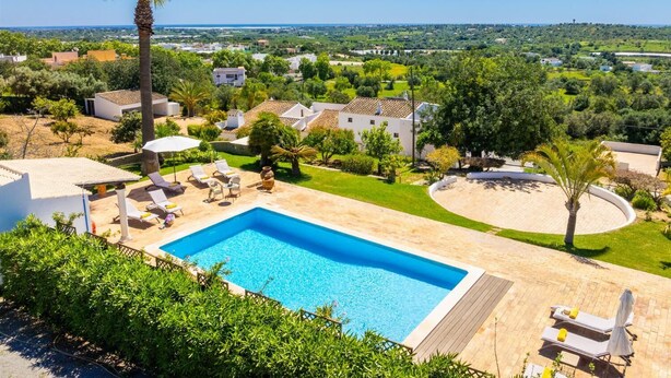 Ein Pool mit Liegestühlen und einer Palme, umgeben von Grünflächen und Gebäuden.