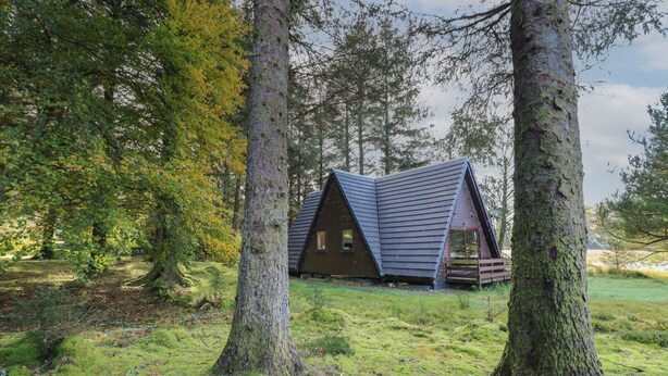 A cabin with a triangular roof, surrounded by trees and a grassy area. - 27 Invergarry Lodges (Invergarry)