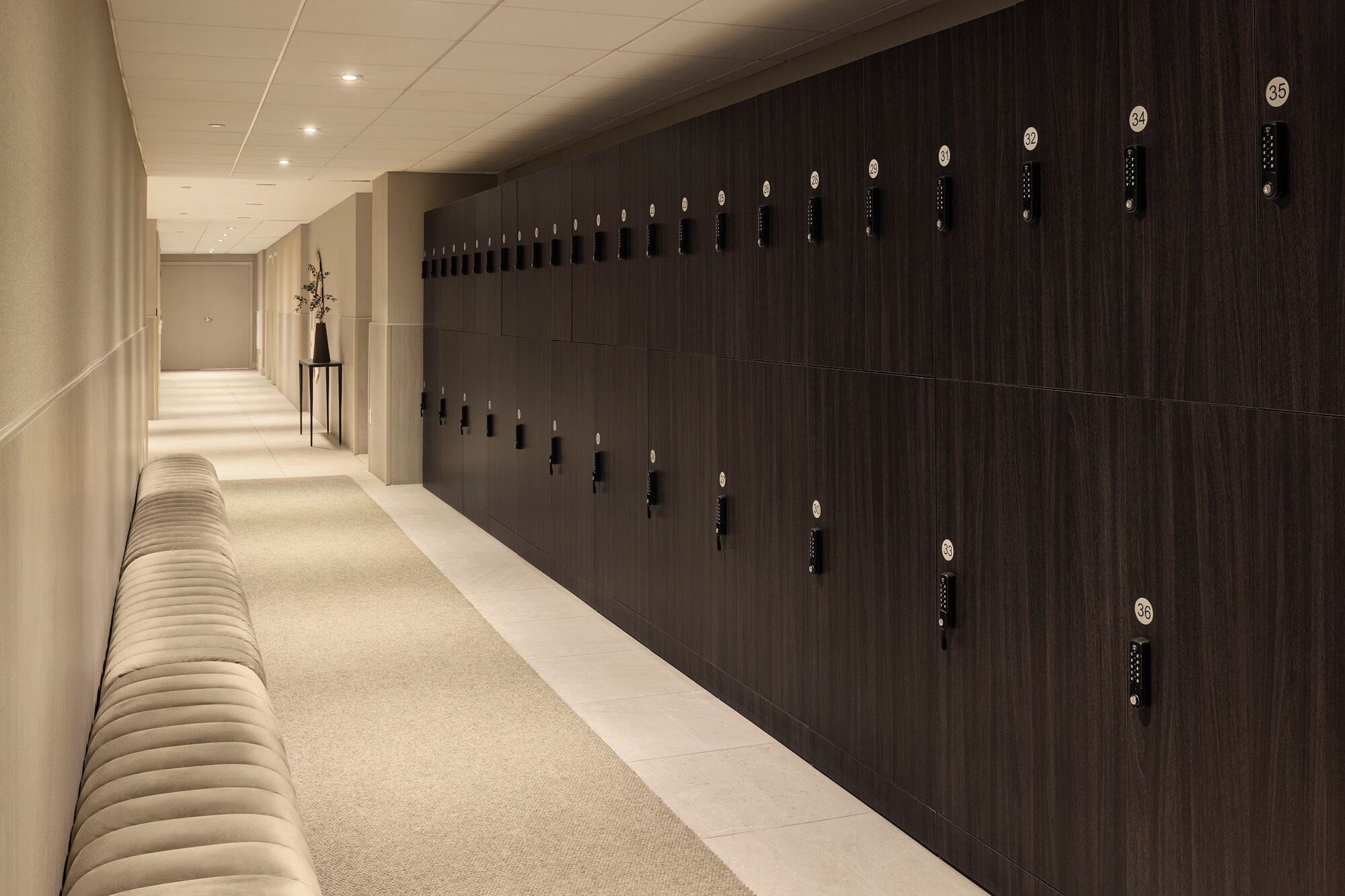 A hotel corridor with lockers, a bench, and a potted plant.