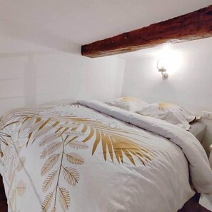 Iron/ironing board, WiFi, bed sheets - L'Authentique - studio, heart of the Port area, AC (Nice)