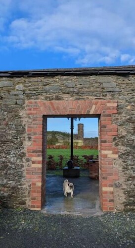 5 bedroom 1860s Irish Country Townhouse