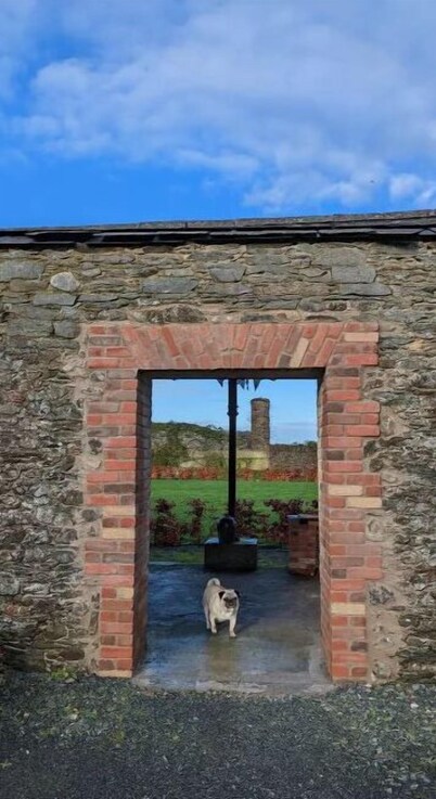 5 bedroom 1860s Irish Country Townhouse