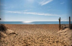 بالقرب من الشاطئ