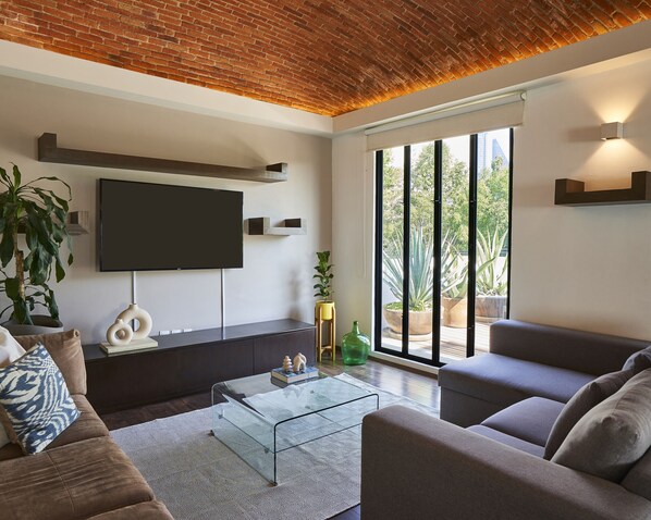 TV - Unique penthouse in the heart of La Condesa/Roma (Ciudad de México)