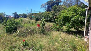 Property grounds - beautiful place a farm. With lots of nature and animals. cozy and quiet cabin. (Santaelena)