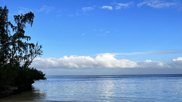 Une plage avec un ciel dégagé et une eau calme.