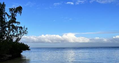 Apartment a une min a Pieds Près de la Plage Wifi 24/7 Nespresso