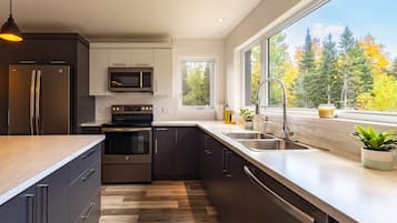 Fridge, microwave, oven, stovetop