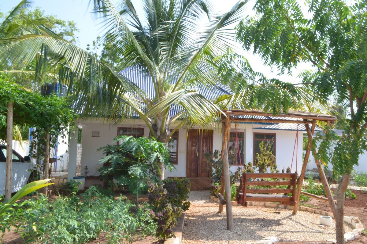 Una casa amb un porxo de fusta, envoltada de vegetació exuberant i una palmera.
