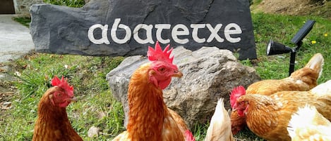 Details aan de buitenkant