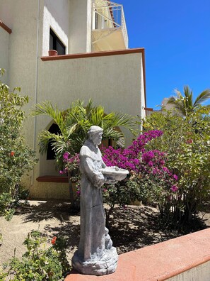 Exterior detail - 1 Bedroom Retreat Close to All (San José del Cabo)