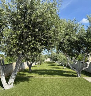 Property grounds - Villa Genesis - Oase im Herzen von Marcana mit Infinity Pool und Olivengarten (Marcana)