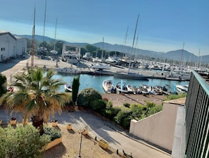 A marina with boats docked, a palm tree, and a building in the foreground.