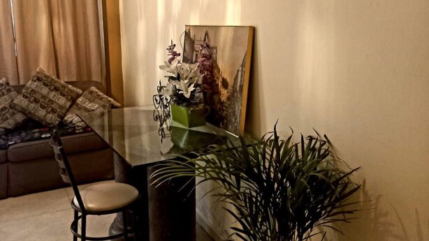 A dining area with a glass table, a chair, a potted plant, and a painting on the wall.