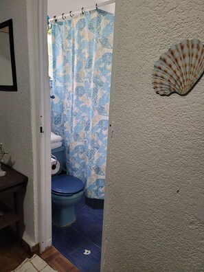 A bathroom with a blue toilet, a shower curtain with a blue and white pattern, and a seashell decoration on the wall. - El Caracol bonito estudio cocina y baño privados (Ciudad de México)