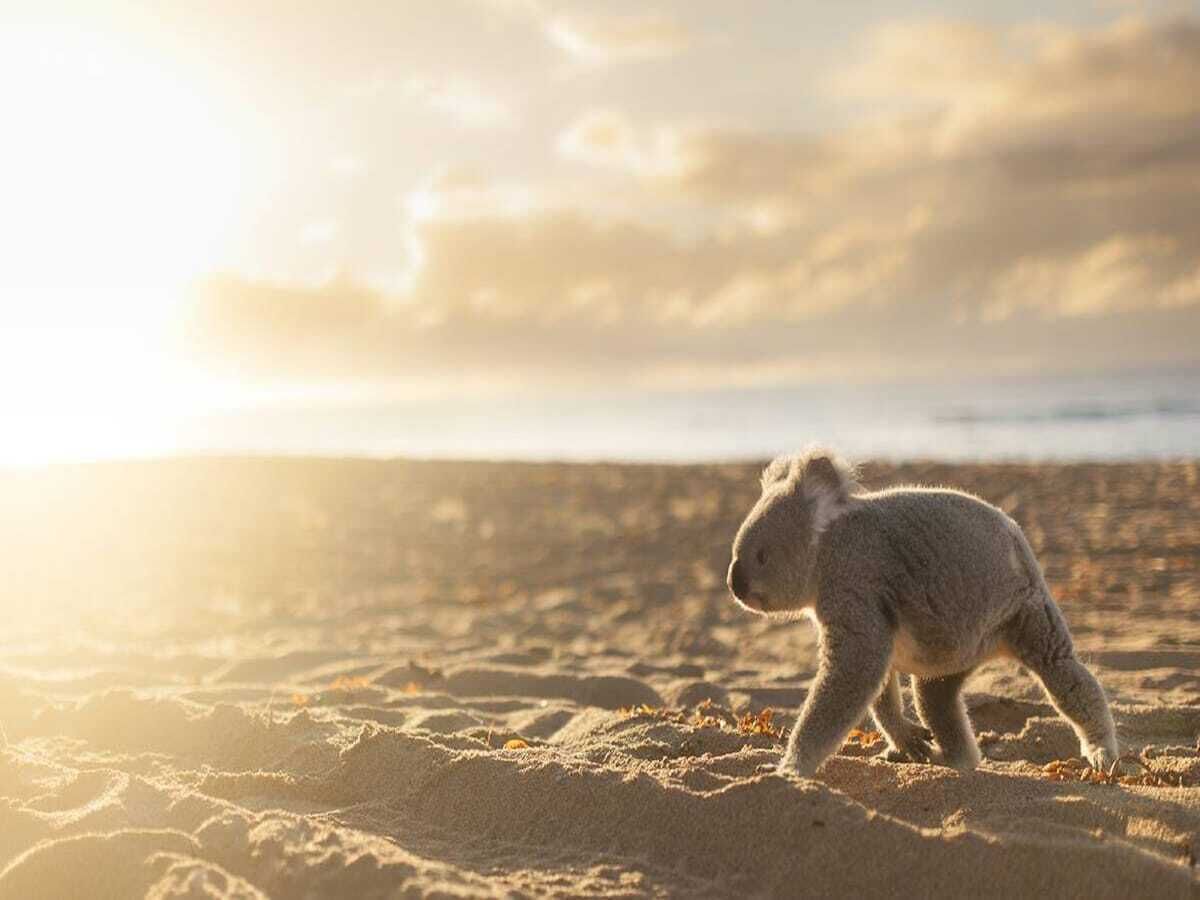 Beach