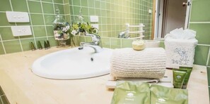 Shower, hair dryer, shampoo