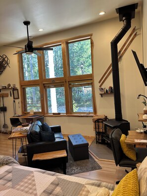 Interior - The Nest @ Pine Lodge - outdoor sauna & cold plunge tub, EV chrg, pets, AC (Packwood)