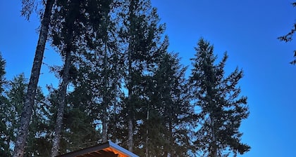 The Nest @ Pine Lodge - outdoor sauna & cold plunge tub, EV chrg, pets, AC