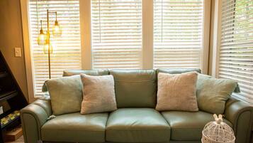 Smart TV, fireplace, video games, books