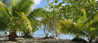 Fare Tiaia - bungalow TOTARA plage 
