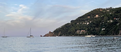 海滩