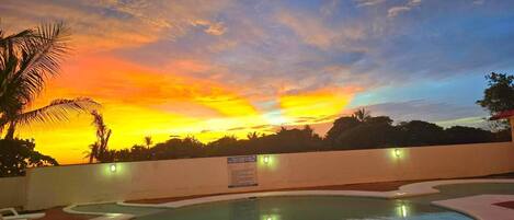 A swimming pool with a sunset view, a white wall, and a palm tree.