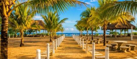 A pathway lined with palm trees and benches, leading towards a beach.
