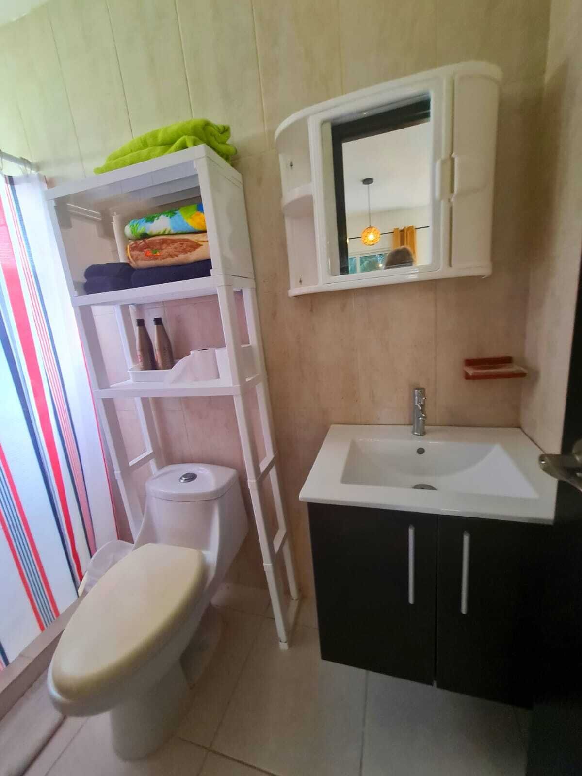 A compact bathroom with a toilet, a white sink, and a mirror above the sink.