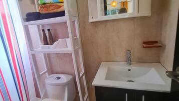 A compact bathroom with a toilet, a white sink, and a mirror above the sink.