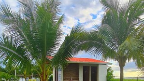 A poolside area with a small building, palm trees, and a clear sky. - Spectacular beachfront apartment, Spacious terrace with an unparalleled view. (Palo Grande)