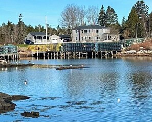 A waterfront property with a dock extending into a calm lake, surrounded by trees and a large house. - Comfy "Mini-estate" on Iconic Corea Harbor (Gouldsboro)