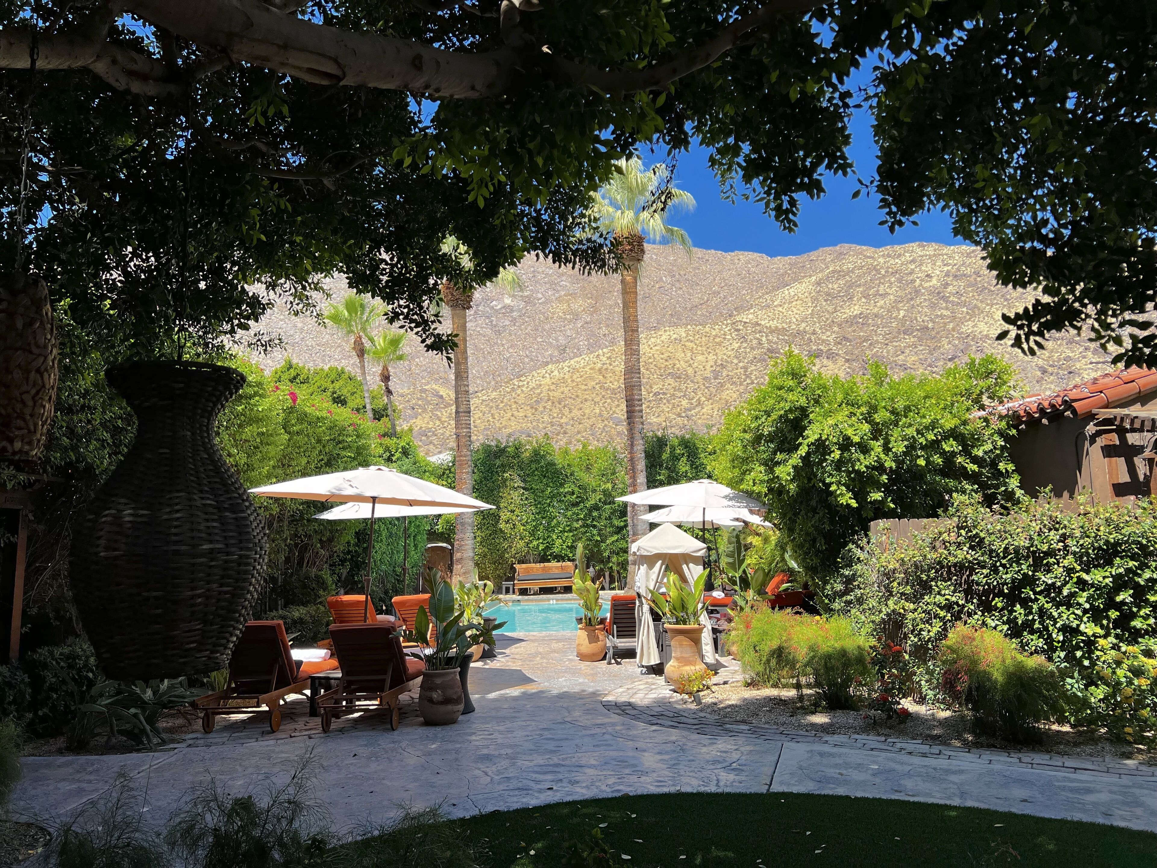Foto - Talavera Palm Springs Hotel - 21 & Over