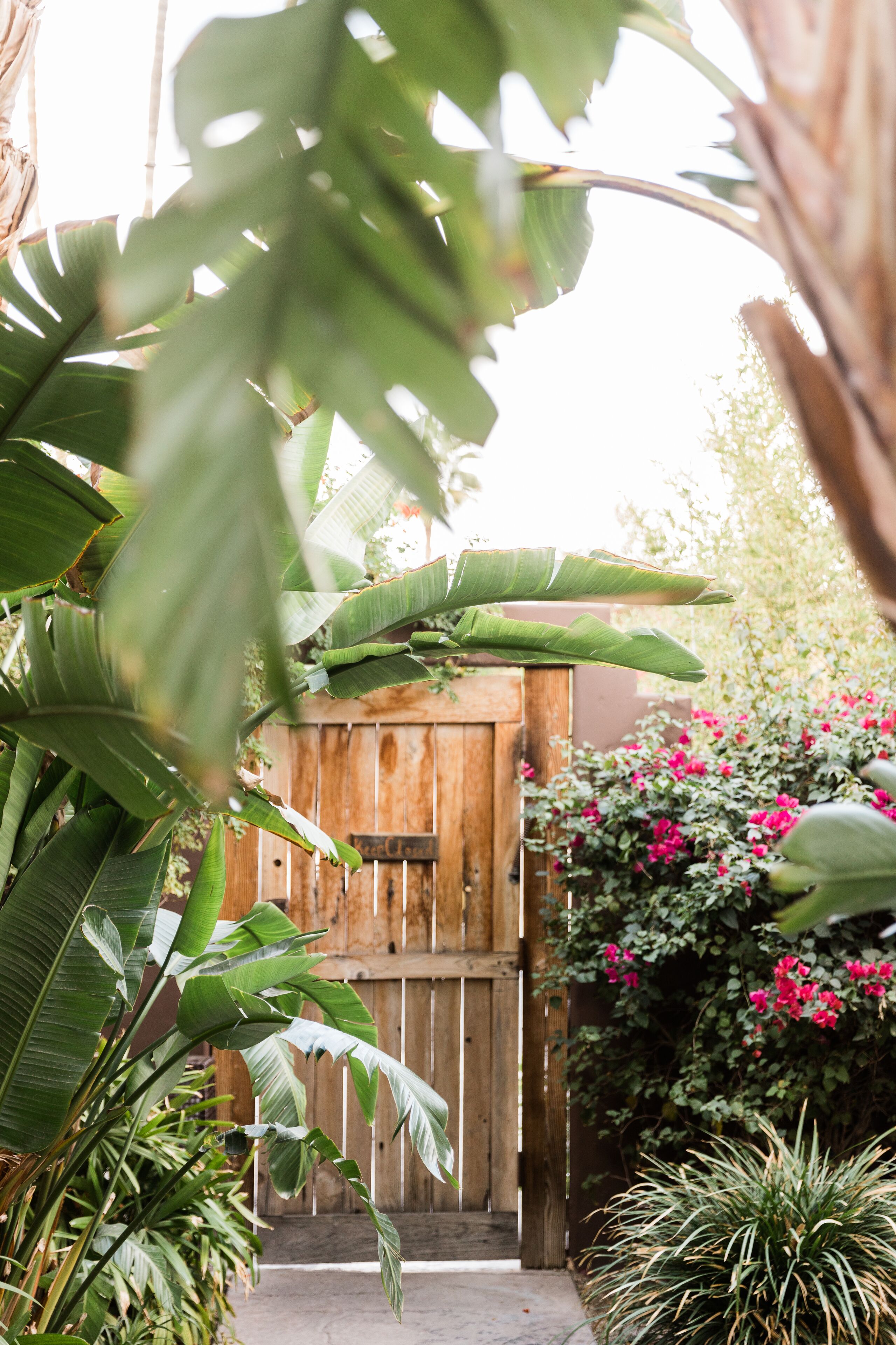 Foto - Talavera Palm Springs Hotel - 21 & Over