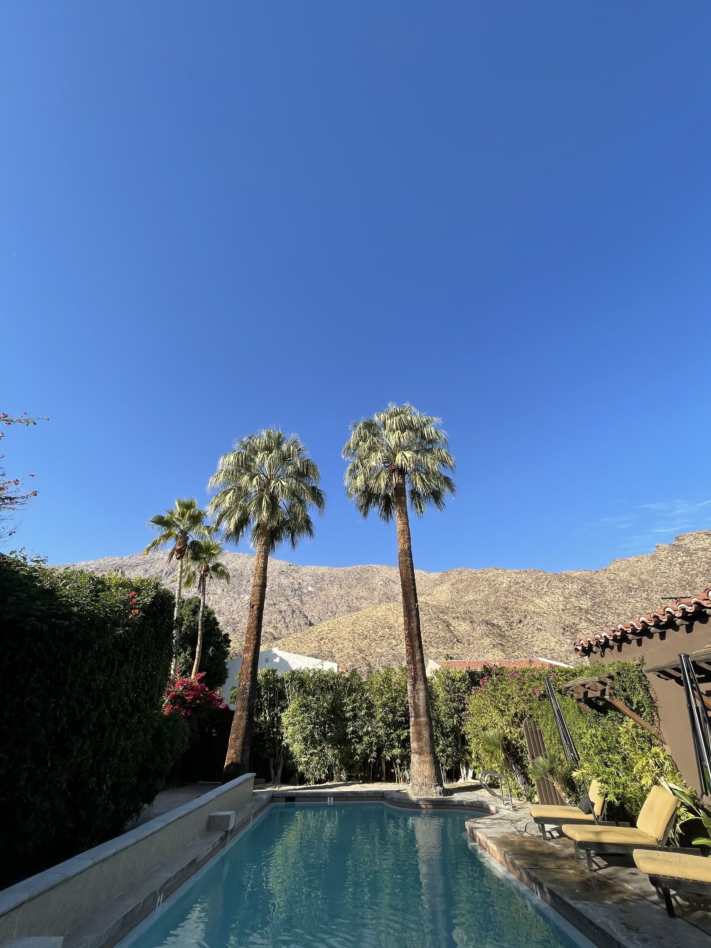 A swimming pool with lounge chairs, surrounded by palm trees and a mountain backdrop.