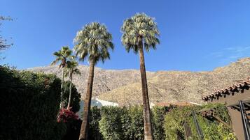 A swimming pool with lounge chairs, surrounded by palm trees and a mountain backdrop.