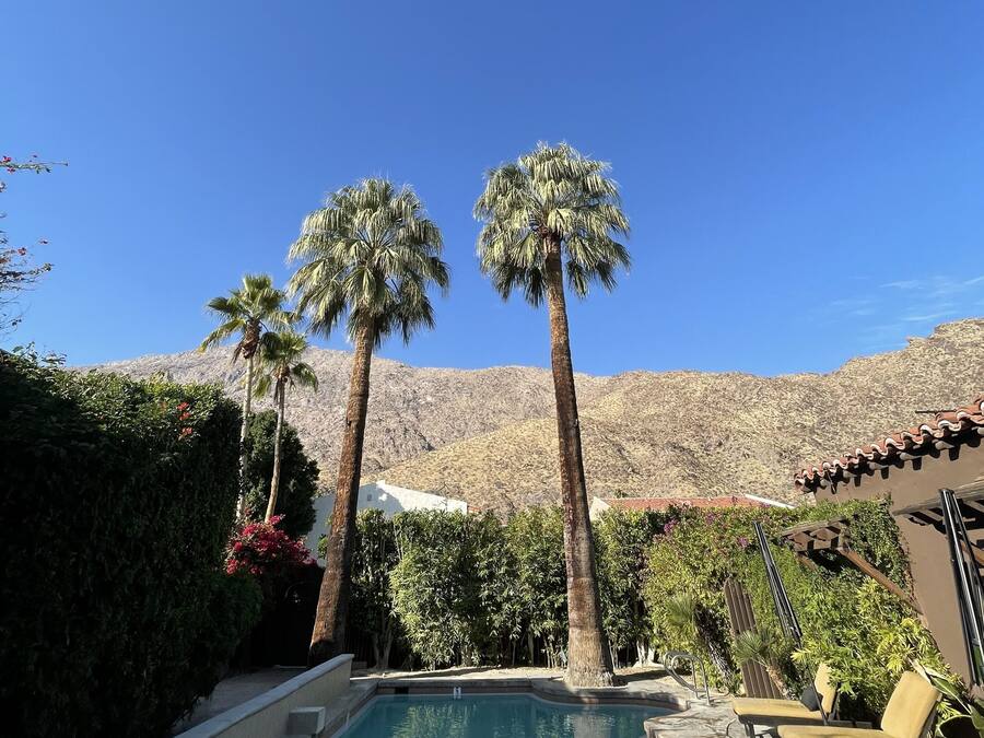 A swimming pool with lounge chairs, surrounded by palm trees and a mountain backdrop.