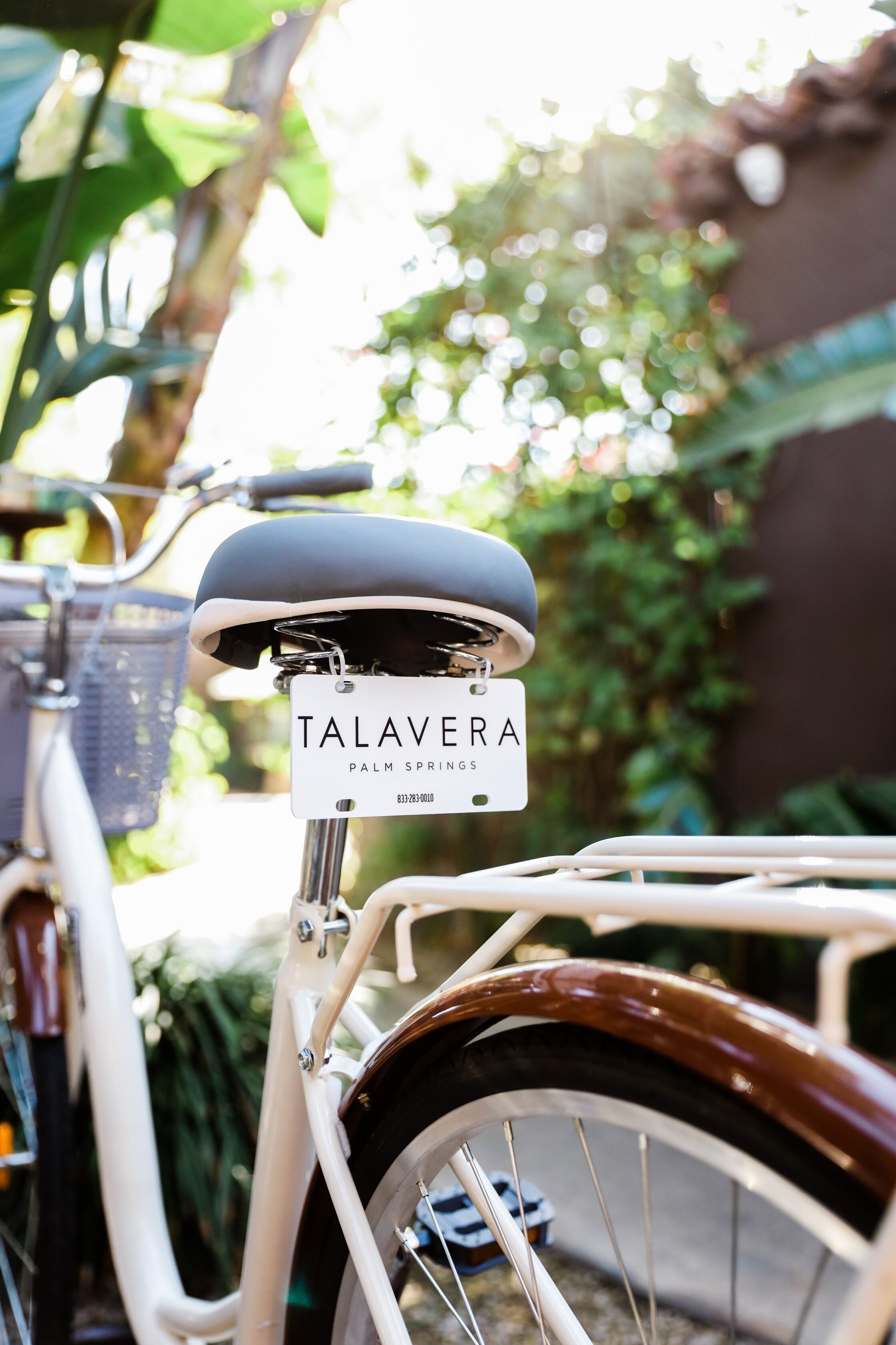 Foto - Talavera Palm Springs Hotel - 21 & Over