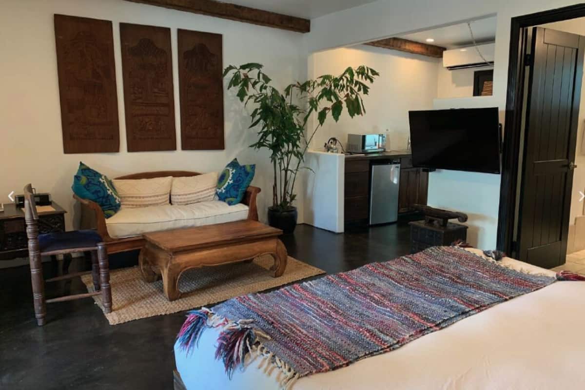 A modern living room with a sofa, coffee table, and a large rug. There is a television and a plant in the room.