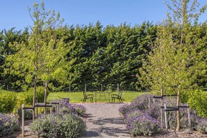 Ein Gartenweg mit Bänken, umgeben von Bäumen und Lavendelpflanzen.