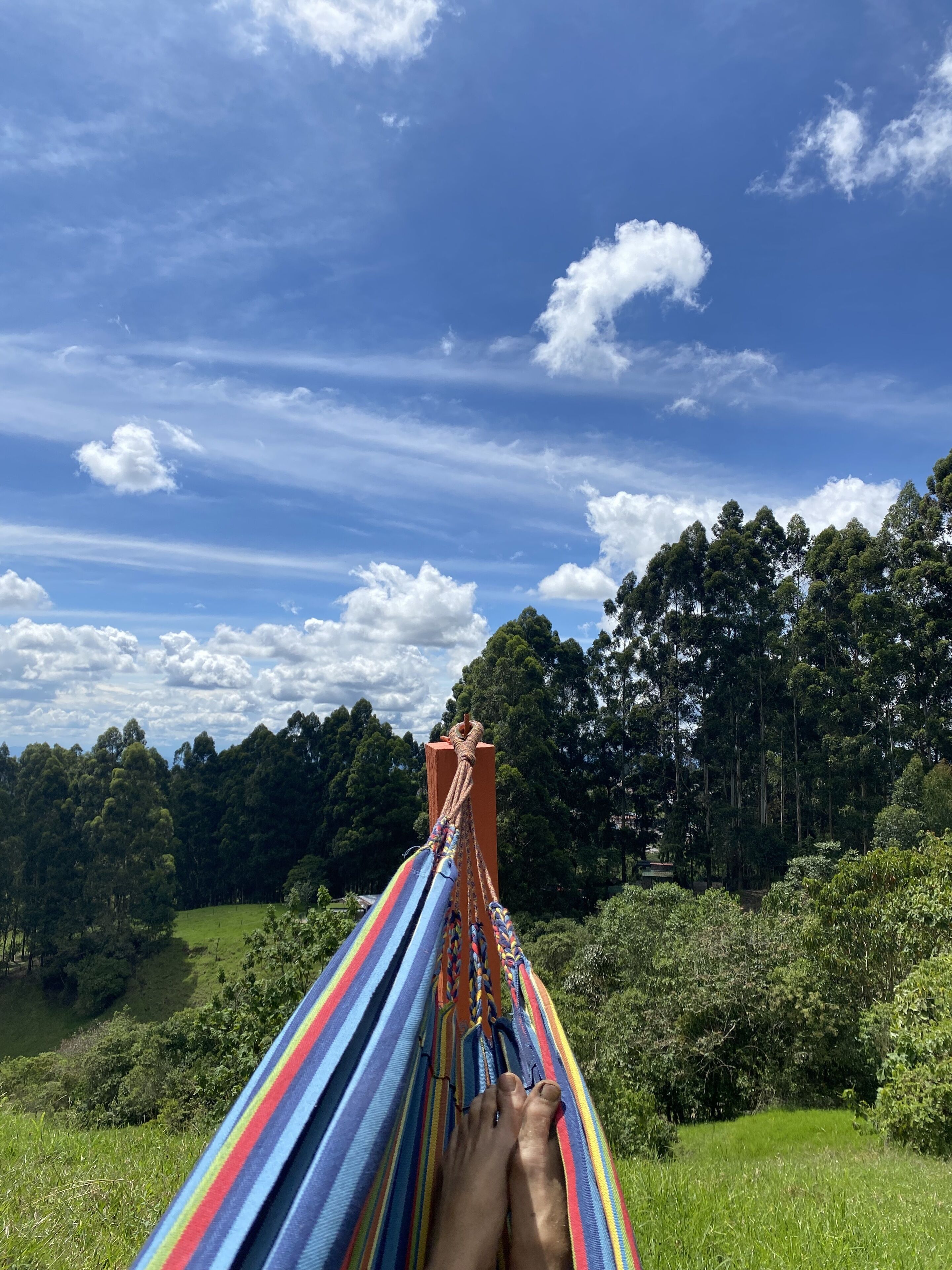 Una hamaca en un campo cubierto de hierba, con cielo despejado y árboles al fondo.