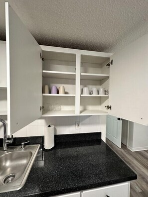 Interior - Newly Renovated 1 Bedroom Close to Busch Gardens (Tampa)