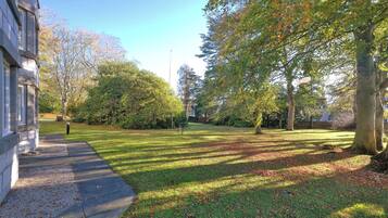 A well-maintained grassy area with a paved walkway, surrounded by trees and a building.