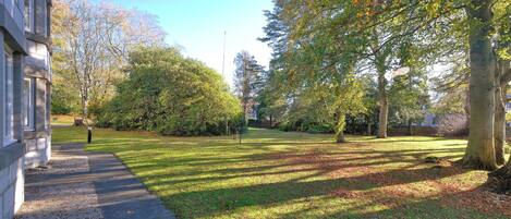 A well-maintained grassy area with a paved walkway, surrounded by trees and a building.