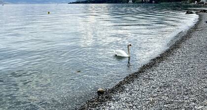 Chalet 'Mouflon - Vue Lac Imprenable' avec terrasse privée et balcon