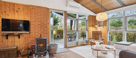 Televisión y chimenea